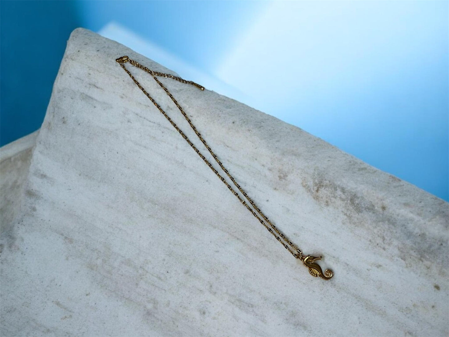Caballito de mar