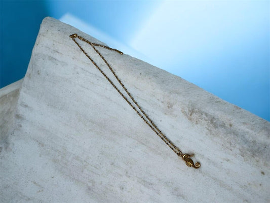 Caballito de mar
